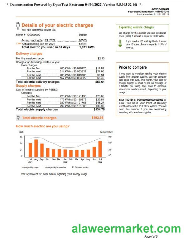 USA New York PSEG utility bill, Word and PDF template, 5 pages 4